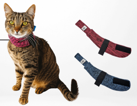 collar protector duo dry para sonda esofágica collar protector duo dry para sonda esofágica