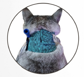 collar protector duo dry para sonda esofágica collar protector duo dry para sonda esofágica
