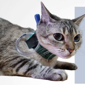 collar protector duo dry para sonda esofágica