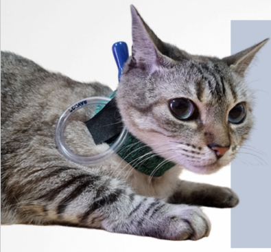 collar protector duo dry para sonda esofágica collar protector duo dry para sonda esofágica
