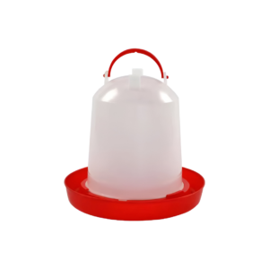 diseno sin titulo 2024 08 29t141556.595